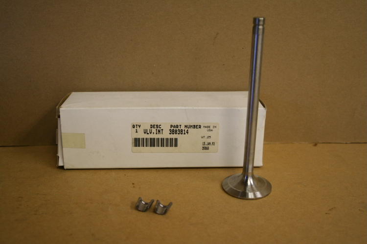 Intake valve 3803814 Genuine Cummins Unused Lot of 4